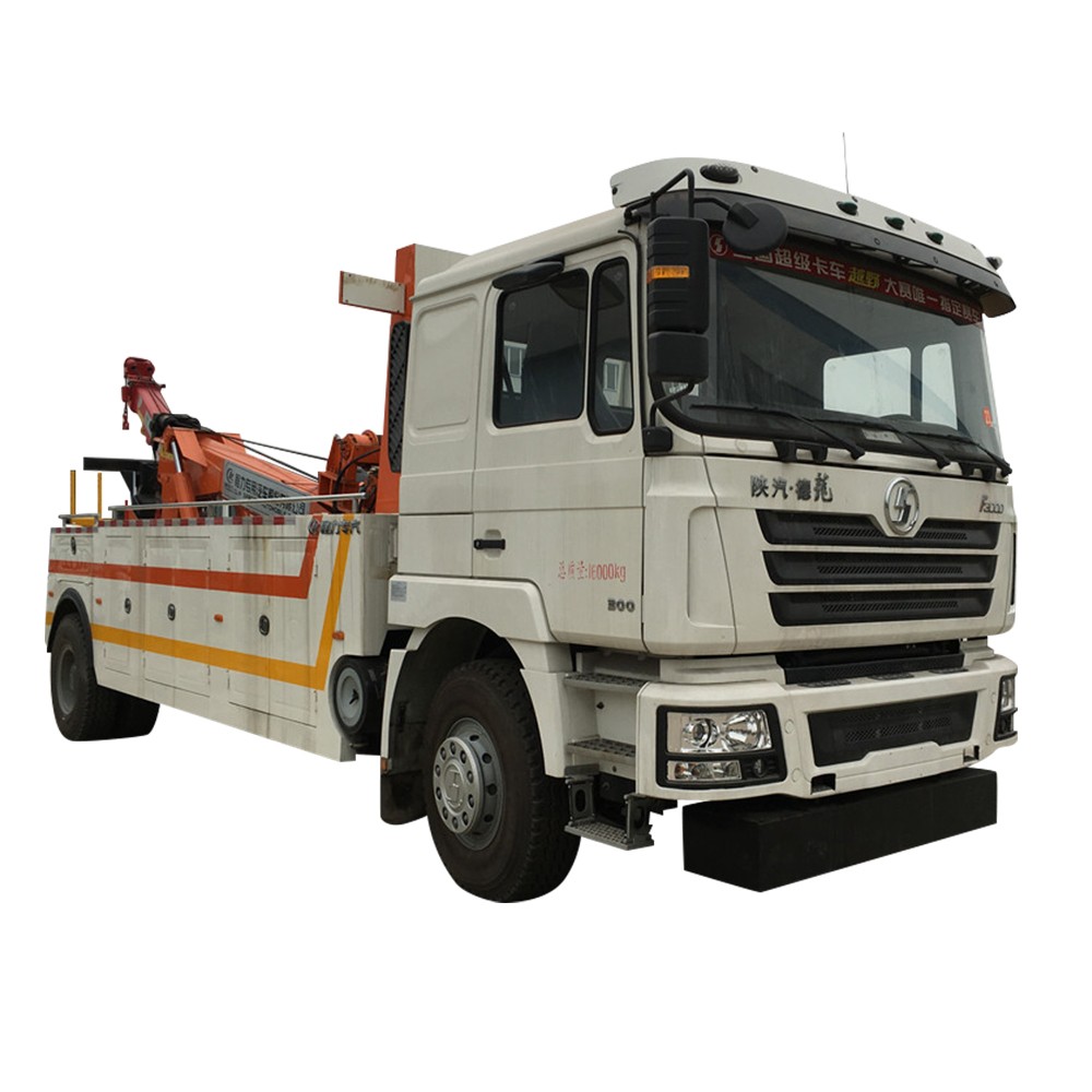 Camion demolitore Shacman da 12 tonnellate